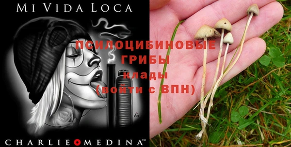 каннабис Абинск